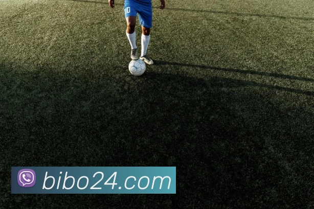 必博biboAPP 封面图